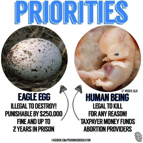 http://tancast.com/wp-content/uploads/2014/04/Priorities-egg-Embryo-Palin.jpg